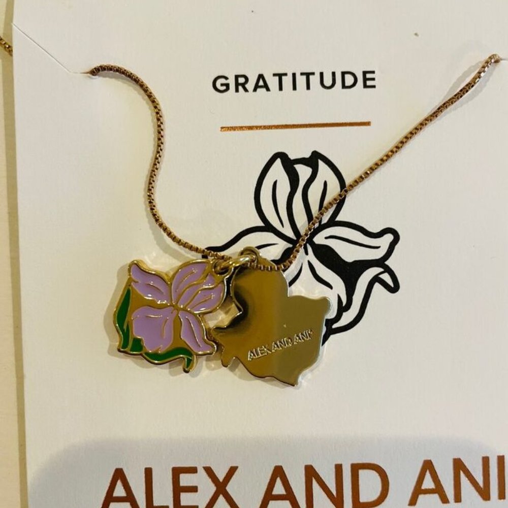 Alex and Ani Iris/Friendship charm Gold Plated Necklace 18" Adjustable - Picture 3 of 5